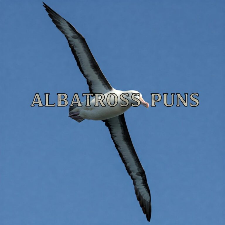 Albatross Puns: Soaring High with Feather-Light Jokes!