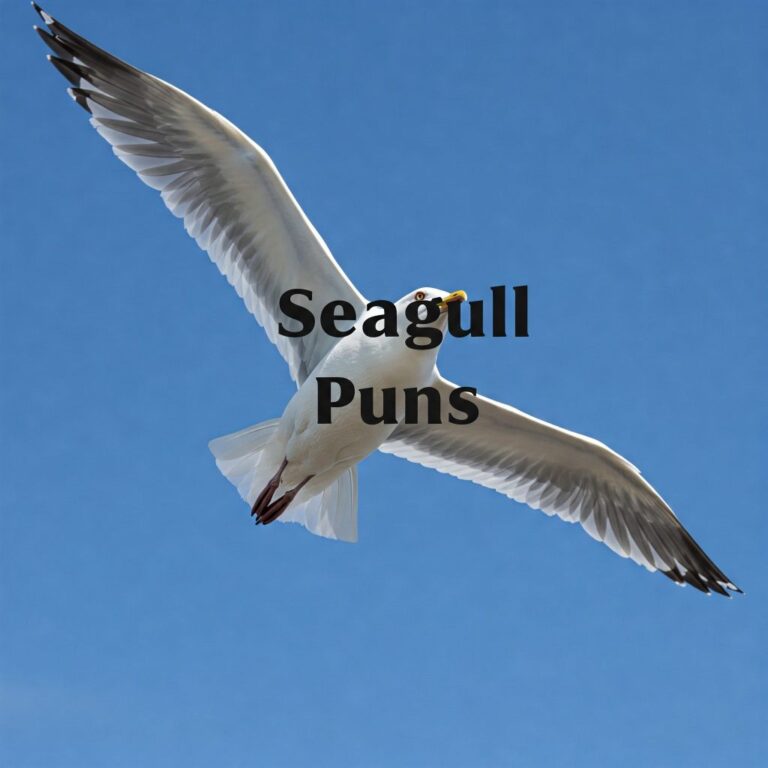 seagull puns
