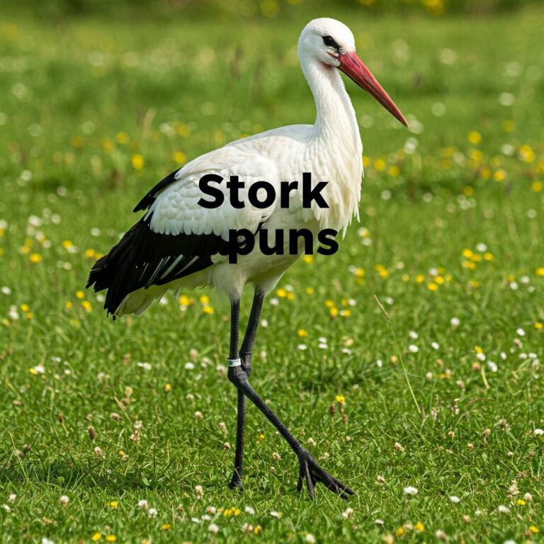 strok puns
