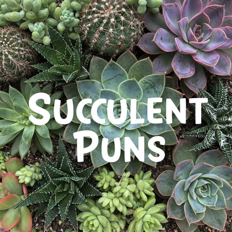 succulent puns