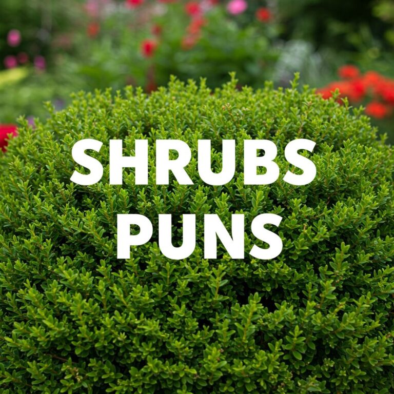 Shrub Puns